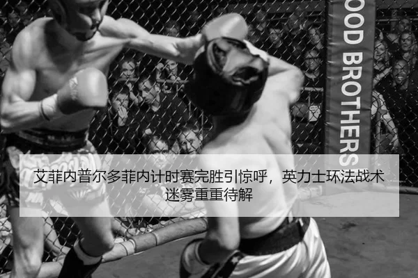 ai-fei-nei-pu-er-duo-fei-nei-ji-shi-sai-wan-sheng-yin-jing-hu-ying-li-shi-huan-fa-zhan-shu-mi-wu-chong-chong-dai-jie-2-486.jpg